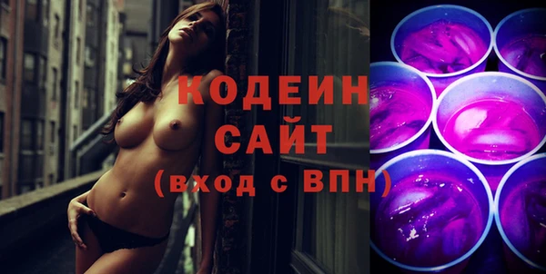индика Гусиноозёрск