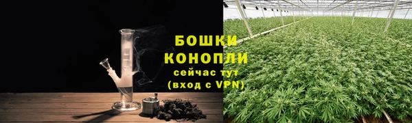 скорость Гусев
