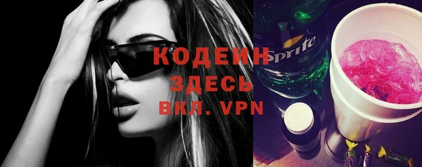 индика Гусиноозёрск