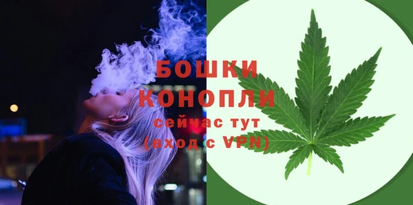 индика Гусиноозёрск
