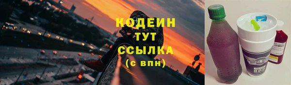 дживик Гусь-Хрустальный