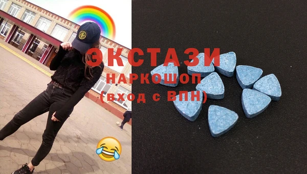 индика Гусиноозёрск