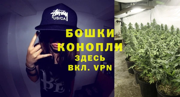 индика Гусиноозёрск