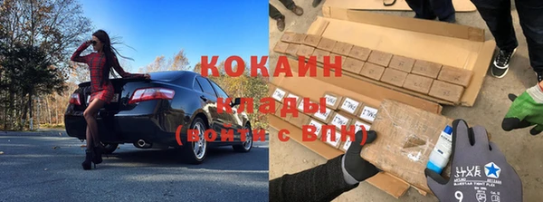 дживик Гусь-Хрустальный
