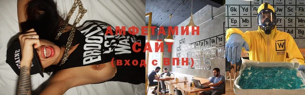 индика Гусиноозёрск